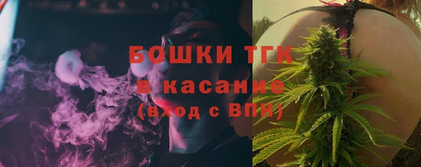 индика Зеленодольск