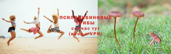 СК Беломорск