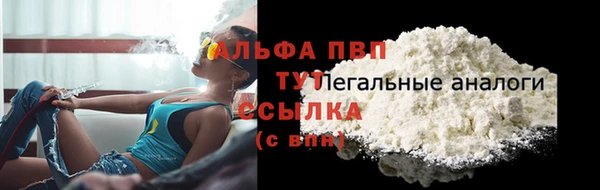кокс Белокуриха