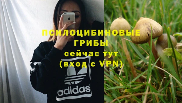 кокс Белокуриха