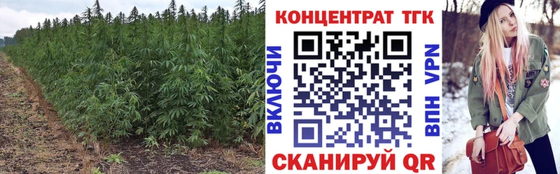 купить  цена  Волхов  Дистиллят ТГК концентрат 